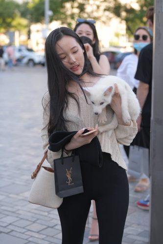 抱着小狗的漂亮女孩 J2106 136P-3.25GB-朵兔兔